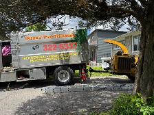 free wood chips mulch - Altavista / walkley only