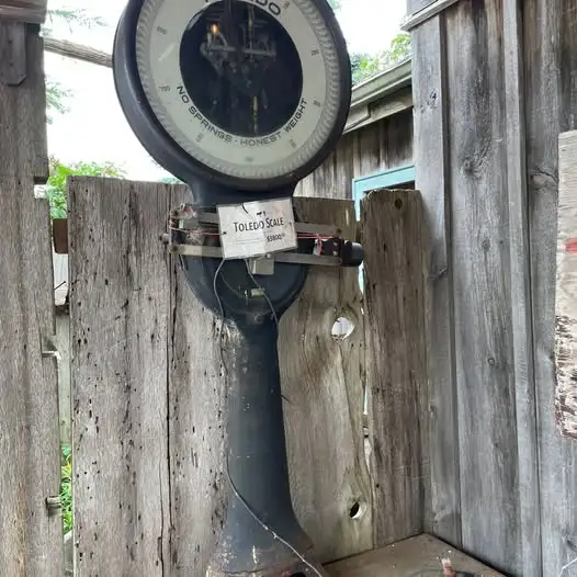 Toldeo Scale - No Springs - Honest Weight