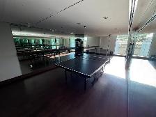 Lansdowne Orchid 1 bed 1 den Condo Unit with A/C for Rent! - Photo 10