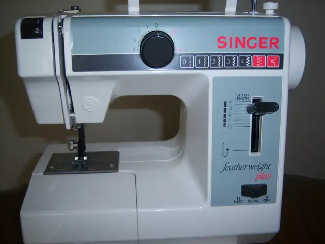 VINTAGE SINGER SEWING MACHINE LOVERS ALERT!