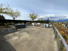 High-end 2-Bedroom Condo at Arbutus Ridge for Rent! - Photo 10