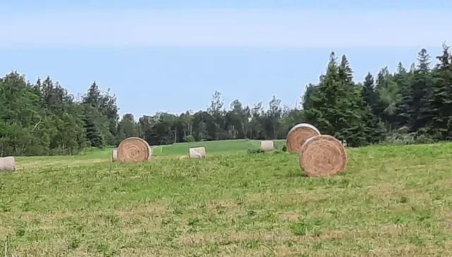 General Labour - Farm