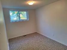 Avalon Area - 4 Bed, 2 Bath House - Photo 5