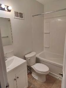 Avalon Area - 4 Bed, 2 Bath House - Photo 7