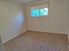 Avalon Area - 4 Bed, 2 Bath House - Photo 8
