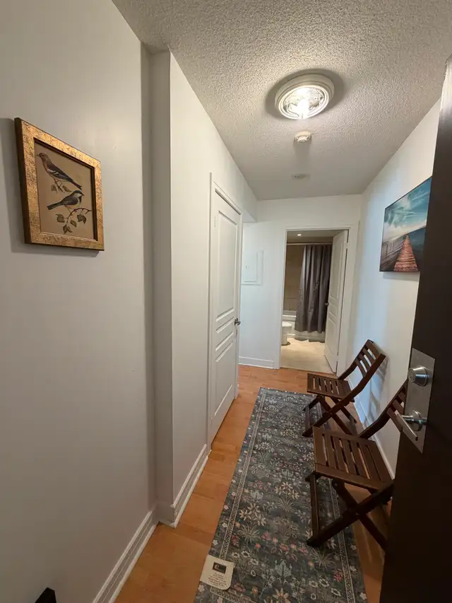 Condo Studio furnished, short or long term, Yonge and  Sheppard