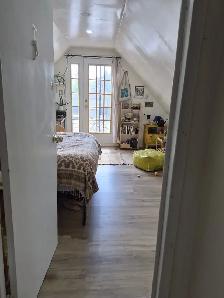 Private room with patio near  TTC subway , downtown Toronto - Photo 4