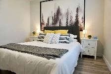 SPACIOUS 2 Bedroom Apartment - Move in ready! - Photo 6