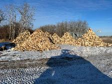 Firewood