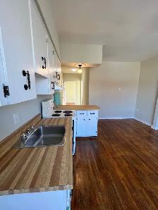 Downtown 2 br apt $1400 available immediately - Photo 2