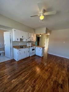 Downtown 2 br apt $1400 available immediately - Photo 3