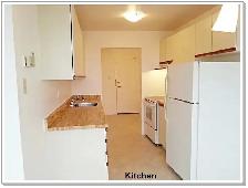 Bright Clean 1 Bedroom Rental Available at 1600 Adelaide Street - Photo 4