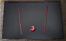 MSI GE75 Raider Gaming Laptop