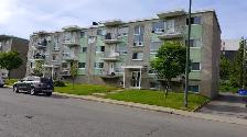 4 ½ à louer –  Disponible dès juillet - bas de Charlesbourg - Photo 5