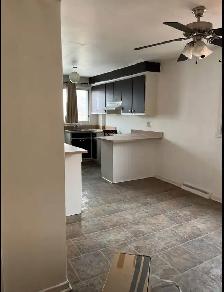 rent appartement - Photo 2