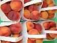 Driver Salesperson BC Fruit Truck - Photo 8