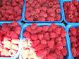 Driver Salesperson BC Fruit Truck - Photo 9