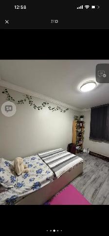 2 bdrm Apart steps st Joseph hospital, Highpark - Photo 7