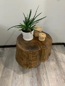 Solid Wood Stump Table - Photo 2
