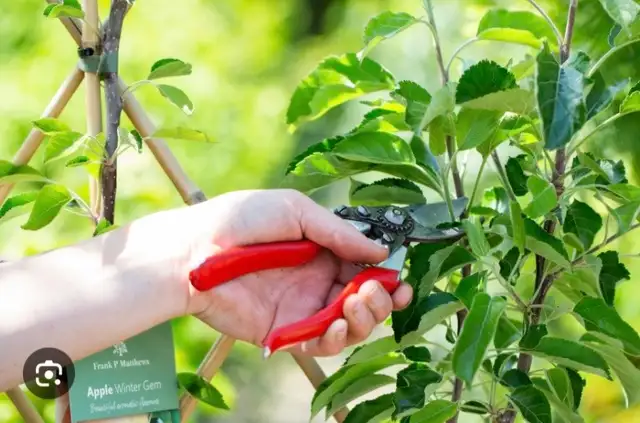 looking for gardening jobs