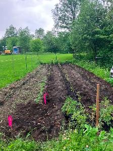 looking for gardening jobs - Photo 3