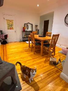 PET FRIENDLY! Bright & Spacious 2-Bedroom Apartment – 1,000  sq. - Photo 6