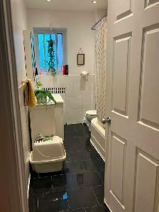 PET FRIENDLY! Bright & Spacious 2-Bedroom Apartment – 1,000  sq. - Photo 7