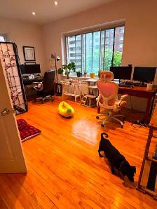 PET FRIENDLY! Bright & Spacious 2-Bedroom Apartment – 1,000  sq. - Photo 9