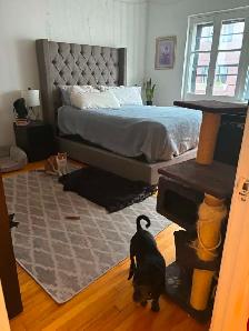 PET FRIENDLY! Bright & Spacious 2-Bedroom Apartment – 1,000  sq. - Photo 10