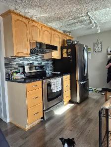 kitchen cabinets - Photo 3