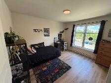 Logement 5 ½ - Sherbrooke - Les Nations, Jacques-Cartier - Photo 10