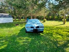 1977 Pontiac Firebird - Photo 2