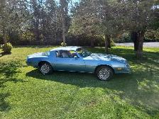 1977 Pontiac Firebird - Photo 3