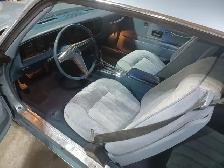 1977 Pontiac Firebird - Photo 5