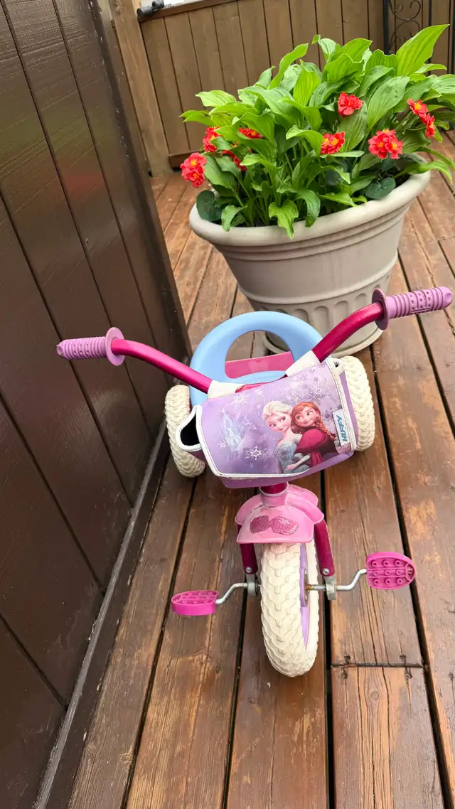 'Frozen'  Tricycle