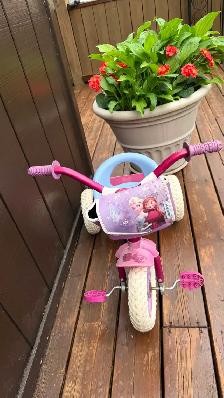 'Frozen'  Tricycle