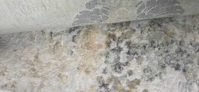 Carpeting
