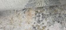 Carpeting