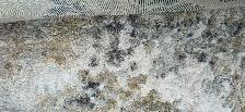 Carpeting - Photo 2