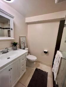 Full furnished Basement - Photo 6
