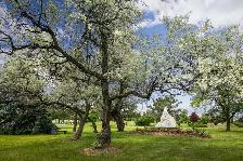 ️ PRICE REDUCTIONS – SAVE UP TO 50% ON TORONTO BURIAL PLOTS - Photo 3