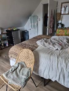 Private  room with patio deck| near Dufferin TTC | Full furnish - Photo 3