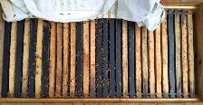 Premium 30-Frame Red Cedar Long Horizontal Bee Hives $500 each - Photo 2
