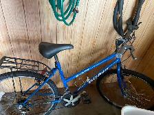 BCA USA Glacier 15 Bicycle