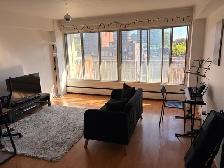 3½ Apartment in Downtown Montreal (McGill Square)