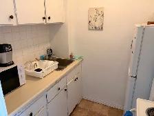 3½ Apartment in Downtown Montreal (McGill Square) - Photo 5