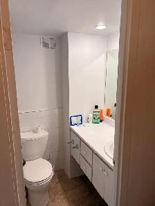 3½ Apartment in Downtown Montreal (McGill Square) - Photo 8