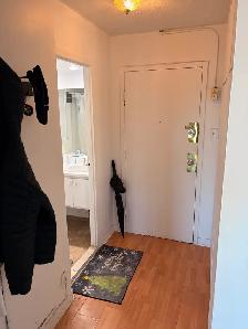 3½ Apartment in Downtown Montreal (McGill Square) - Photo 9