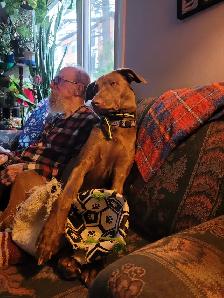 1 year Weimaraner/Lab $200.00 - Photo 6