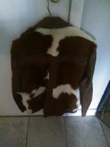 Cow hair.  Stampede jacket. USA. Leather coat